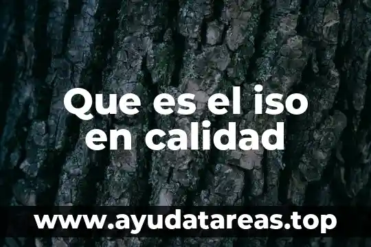 Dirección de la calidad total que es 5 Que es el iso en calidad