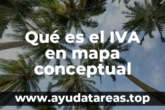 Por que es importante el iva 4 Qué es el IVA en mapa conceptual