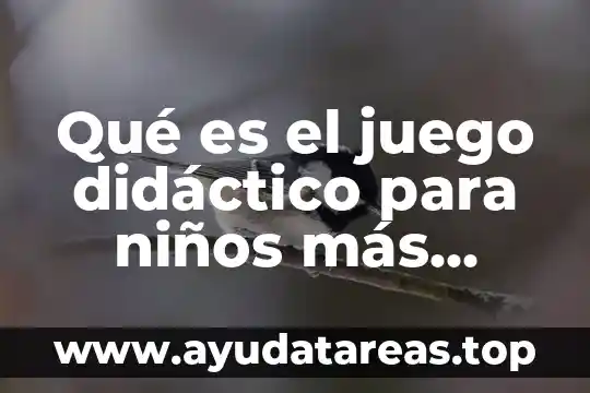 Qué es el juego didáctico para niños más usado