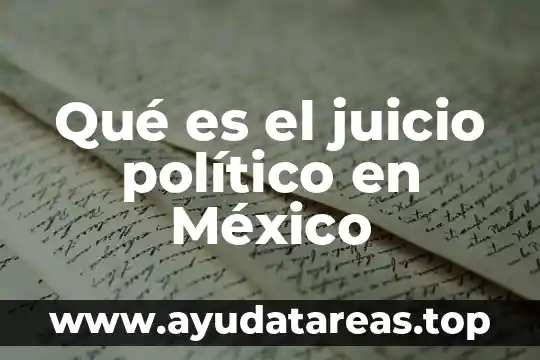 Que es un cibercrimen político 3 Qué es el juicio político en México