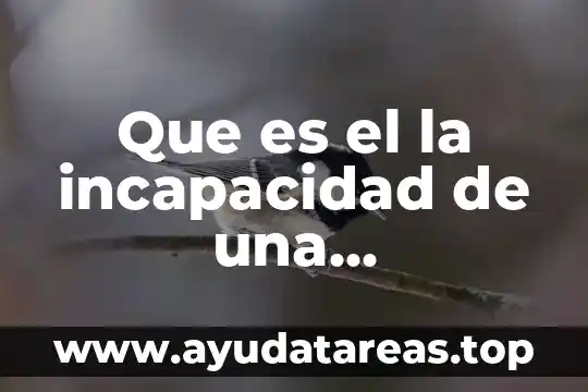 Que es el la incapacidad de una enfermedad