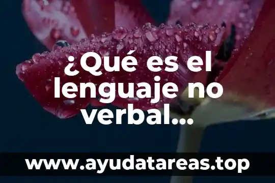 Que es lo que hace hervir el agua 6 ¿Qué es el lenguaje no verbal resumen?