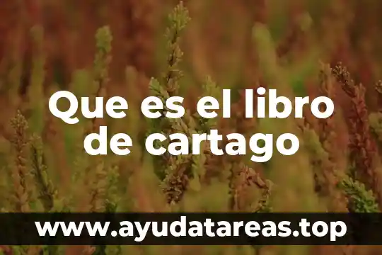 Que es el libro de cartago