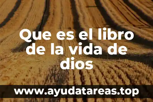 Que es color libro 3 Que es el libro de la vida de dios
