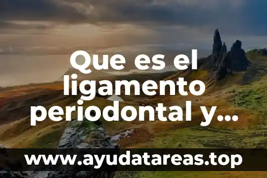 Que es el ligamento periodontal y sus funciones