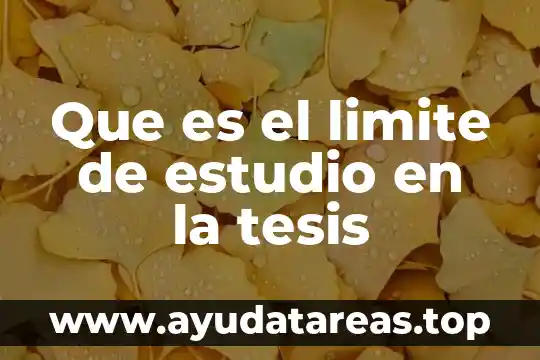 Que es el limite de estudio en la tesis