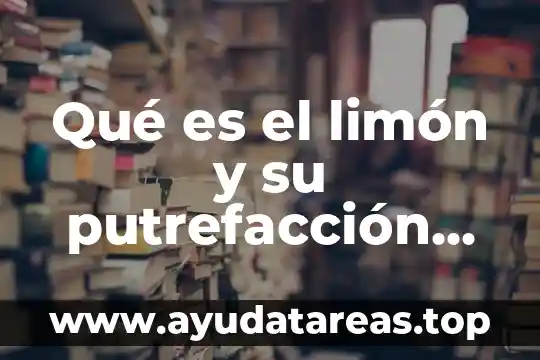 Qué es teoría según Popper 3 Qué es el limón y su putrefacción teoría