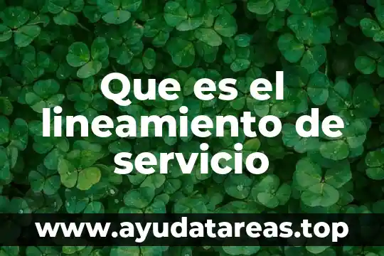 Que es un sistema y tipos de sistema 6 Que es el lineamiento de servicio