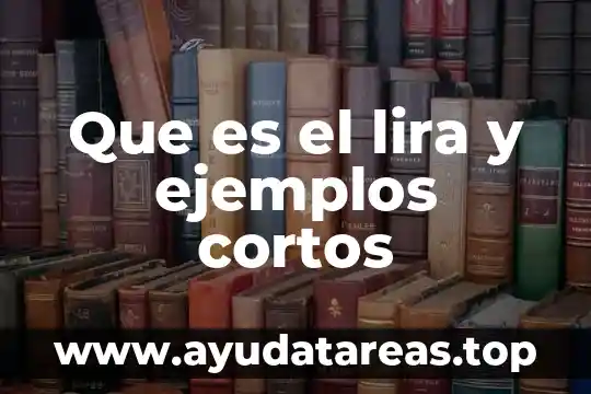 Que es el lira y ejemplos cortos