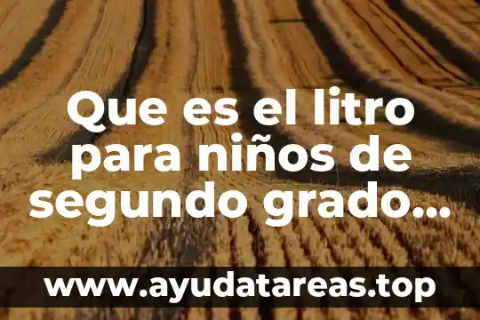 Que es el litro para niños de segundo grado primaria