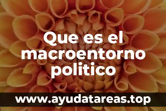 Que es el macroentorno politico