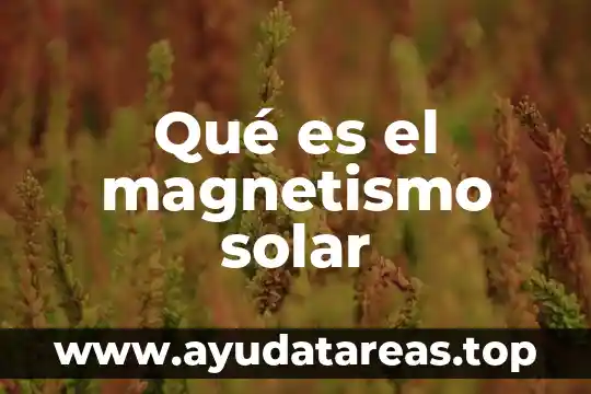 Qué es el magnetismo terrestre significado 4 Qué es el magnetismo solar