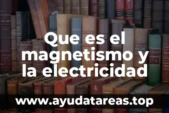 Qué es el magnetismo terrestre significado 8 Que es el magnetismo y la electricidad