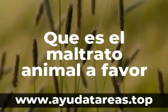 Que es el maltrato infantil como problema social 3 Que es el maltrato animal a favor