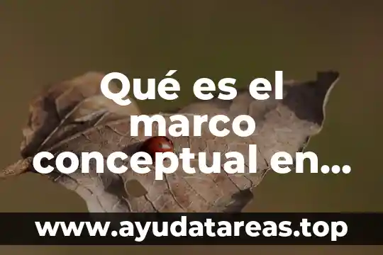 Que es un marco teórico de embarazo en adolescentes 7 Qué es el marco conceptual en una empresa