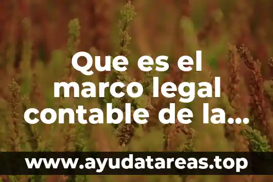 Que es el marco legal contable de la contabilidad