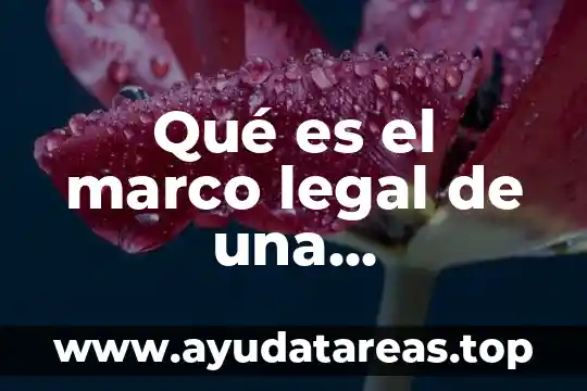 Qué es el marco legal de una organización
