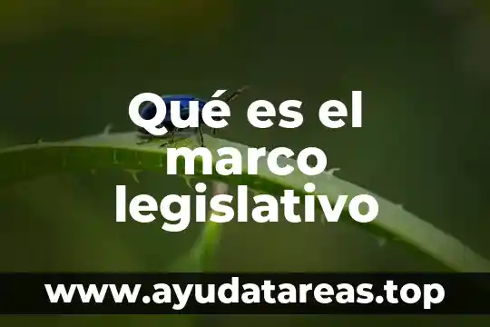Qué es el marco legislativo