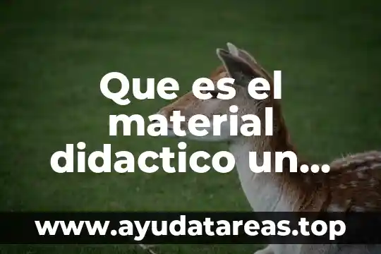 Que es el material didactico un acercamiento ala practica docente