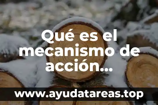 Que es un compuesto molecular en quimica 4 Qué es el mecanismo de acción molecular