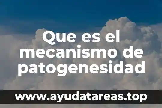 Que es el mecanismo la idea 7 Que es el mecanismo de patogenesidad