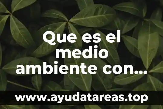 Que es el medio ambiente con sus propias palabras