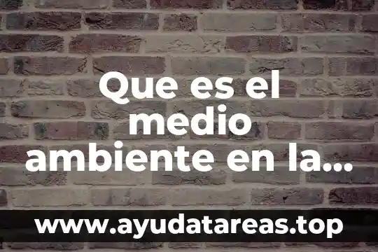 Que es el medio ambiente en la escuela para dibujar