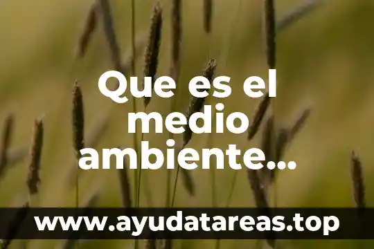 Que es resumen y tipos de resumen 4 Que es el medio ambiente resumen y greenpeace