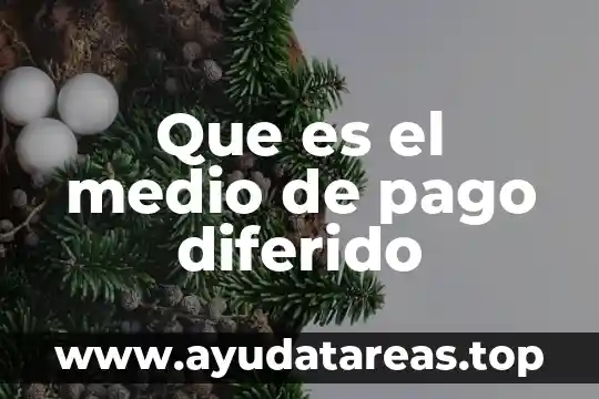 Que es un cargo de instalacion diferido 4 Que es el medio de pago diferido