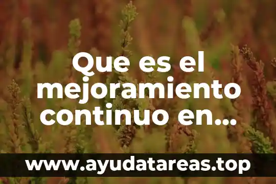 Que es el mejoramiento continuo en administracion