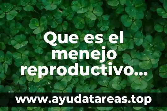 Que es el menejo reproductivo definicion