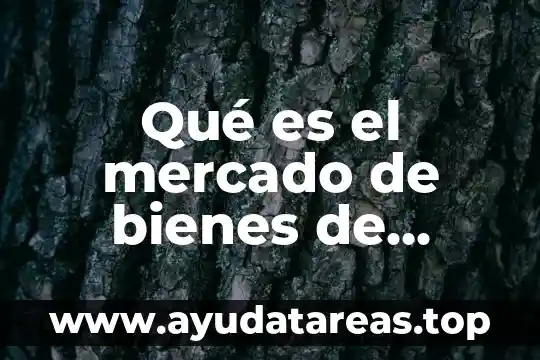 Qué es el mercado de bienes de consumo