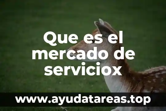 Que es el mercado de serviciox