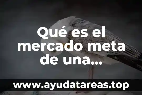 Qué es el mercado meta de una empresa