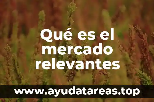 Qué es el mercado relevantes