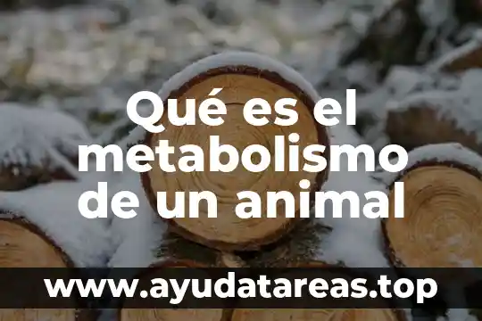 Muñecos que es animal de escuichi 6 Qué es el metabolismo de un animal
