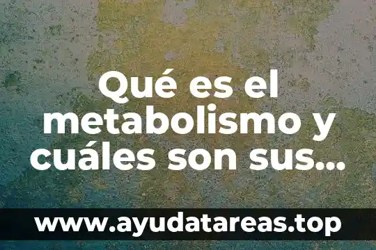 Qué es el metabolismo y cuáles son sus tipos