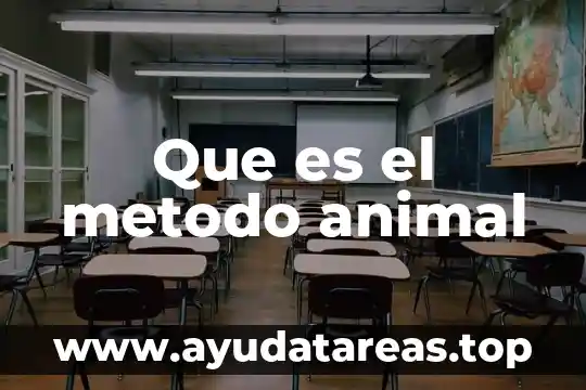 Que es un coati animal 7 Que es el metodo animal