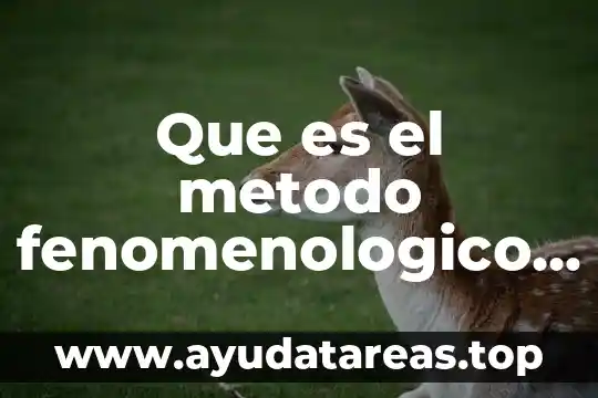 Que es el metodo fenomenologico filosofia