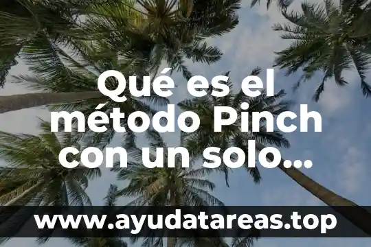 Que es zona metropolitana significado 7 Qué es el método Pinch con un solo Pinch