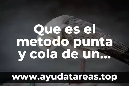 Que es una punta para cautin 6 Que es el metodo punta y cola de un vector