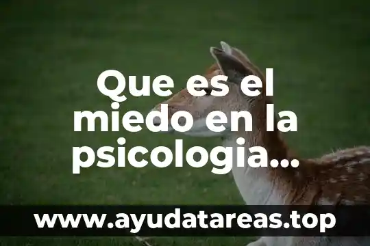 Qué es el amor romántico psicología 4 Que es el miedo en la psicologia social