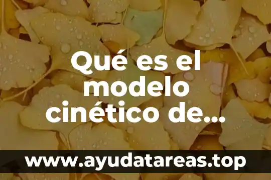 Que es el modelo cinetico molecular del agua 8 Qué es el modelo cinético de partículas en física
