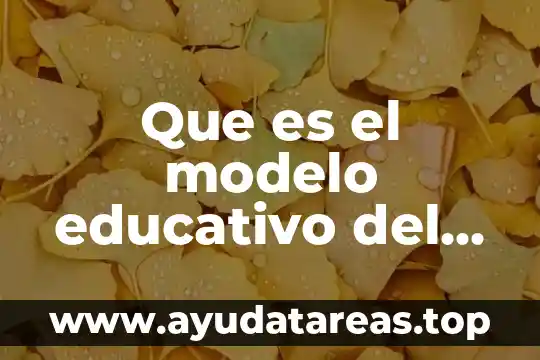 Que es el modelo educativo del cch