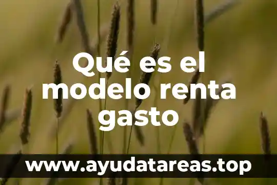 Que es la renta de mobiliario servicio o producto 8 Qué es el modelo renta gasto