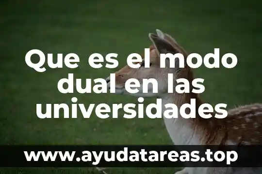 ¿Qué es el agua nutriente o alimento? 6 Que es el modo dual en las universidades