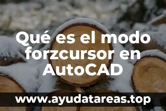 Qué es el modo forzcursor en AutoCAD