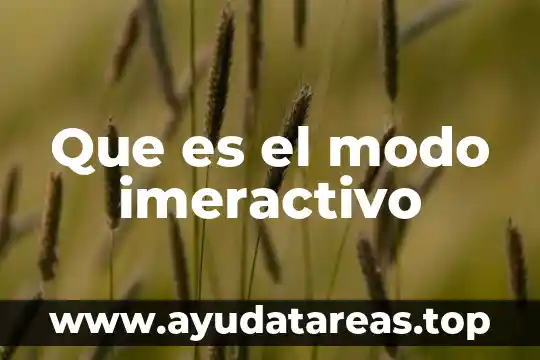 Que es un arquetipo modo de conducta 6 Que es el modo imeractivo