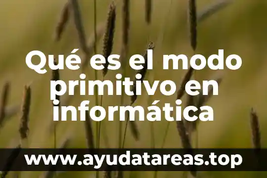 Qué es el modo primitivo en informática
