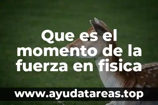 Que es el momento de la fuerza en fisica